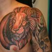 sf tattoo 19, san francisco tattoo 19, lion 